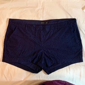 Torrid Blue Lace Shorts Size 20